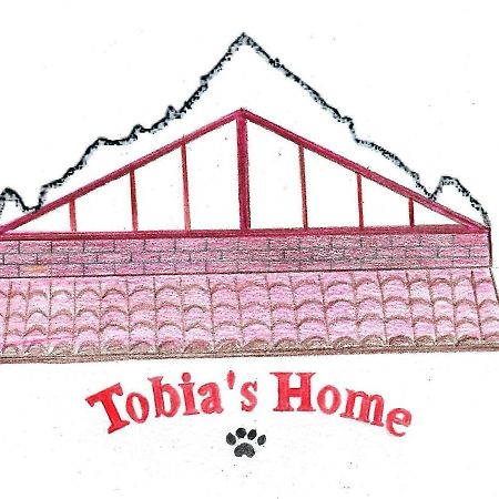 Tobia'S Home Roddino 外观 照片